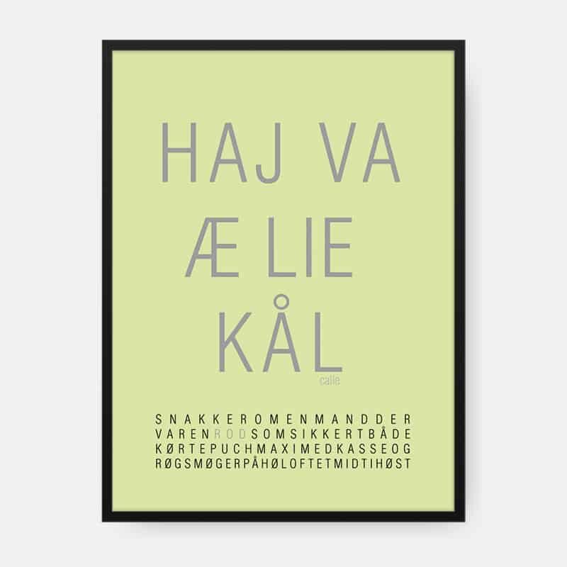 DIALEKT PLAKAT HAJ VA Æ LIE KÅL CREATIVE DOT